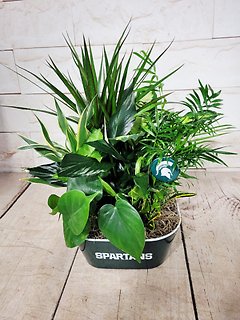 Large Spartan Planter