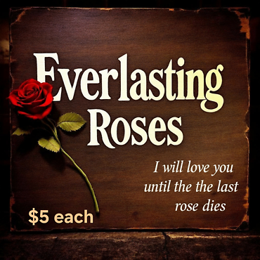 Everlasting Rose