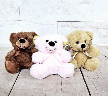 Colorama Bear