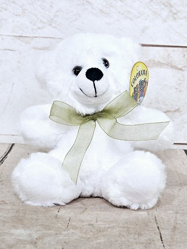 Kappa Delta Bear