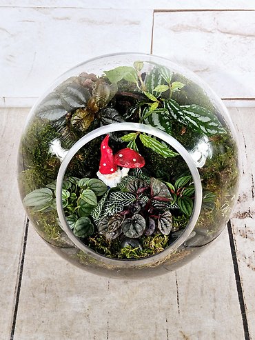 Gnome Home