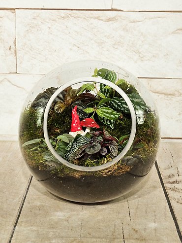 Gnome Home
