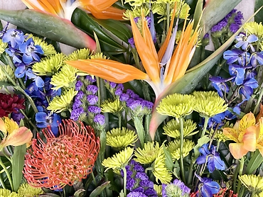 Tropical Paradise Loose Wrap