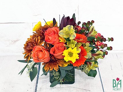 Autumn Celebration of Color