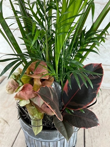 Rustic Tin Planter