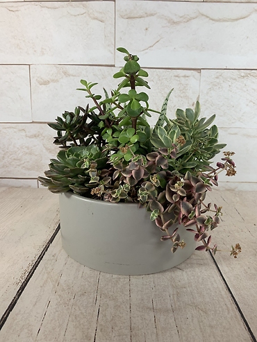 Stone Succulent Planter