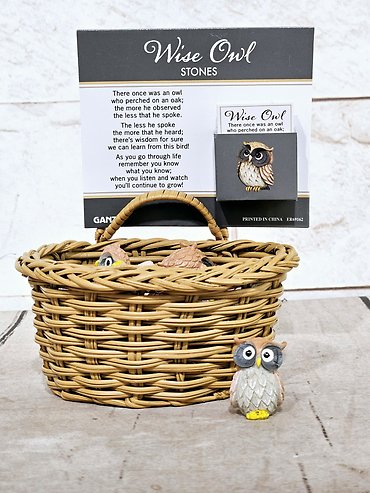 Wise Owl Pocket Charm