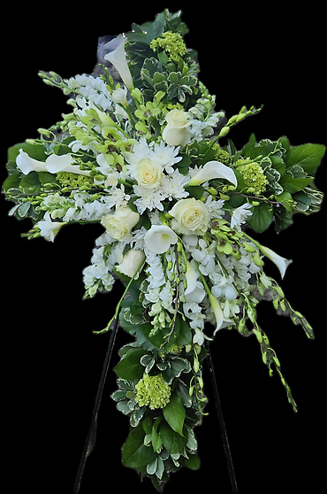 White Cross