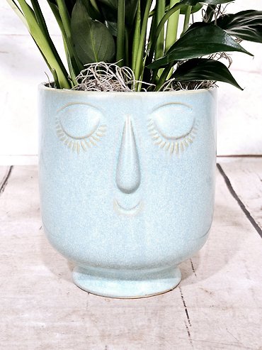 Feeling Blue Lily