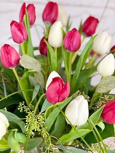 Exquisite Tulips