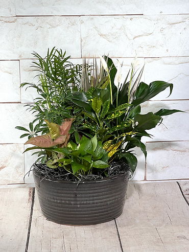 Gray Ceramic Planter