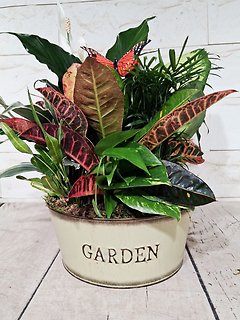 Garden Planter