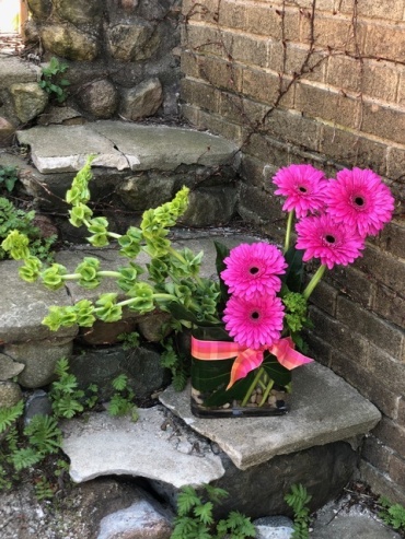 Gorgeous Gerbera