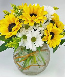 Bowl of Sunshine