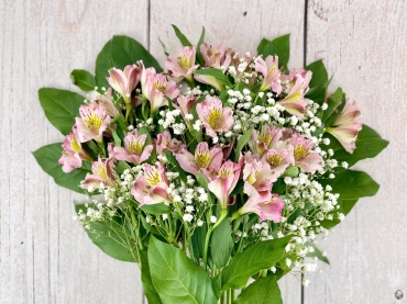 Alstroemeria Loose Wrap