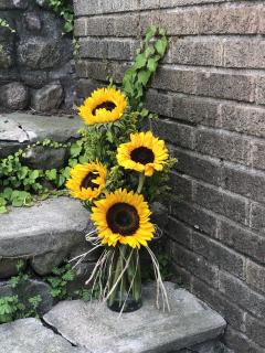 Sunflower Cheer