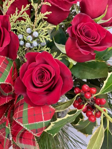 Premium Christmas Roses